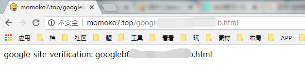 谷歌验证网址